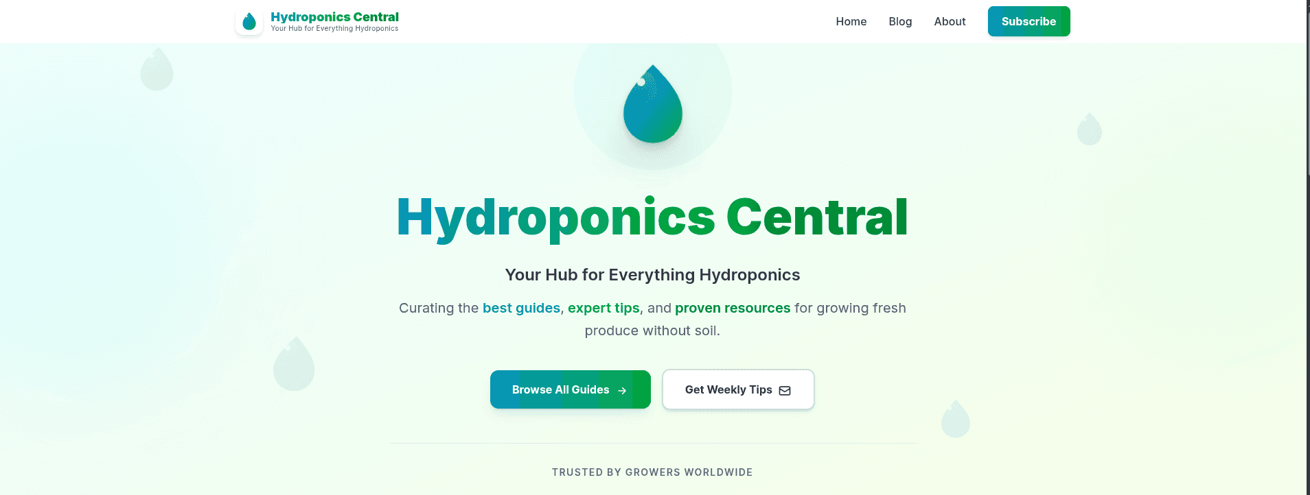 Hydroponics Central — Built, Written & Live
